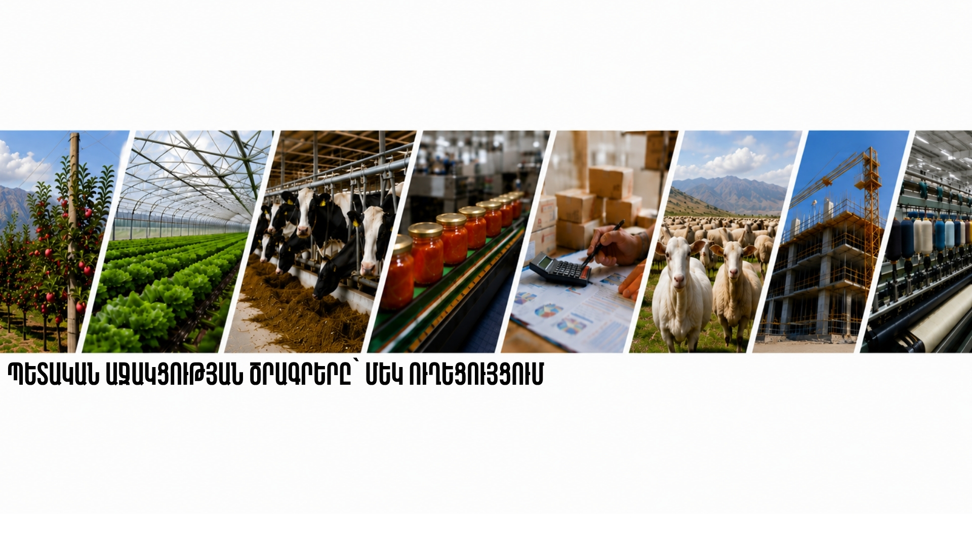 Պետական աջակցության ծրագրերը՝ մեկ ուղեցույցում